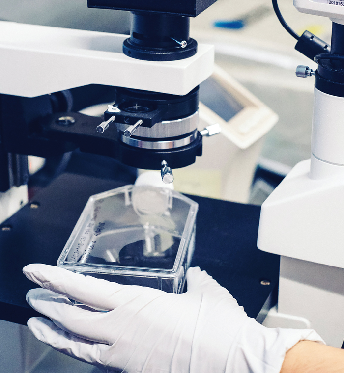 最先端の分光分析技術