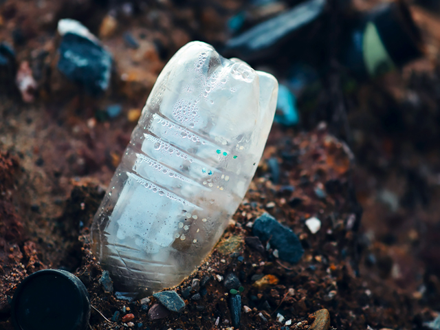 マイクロプラスチック自動分析ソリューション